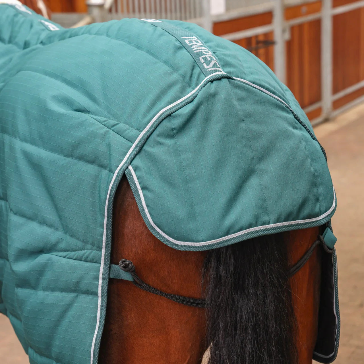 Shires Tempest Original 200G Mediumweight Standard Neck Horse Stable Rug,4'0"-7'3