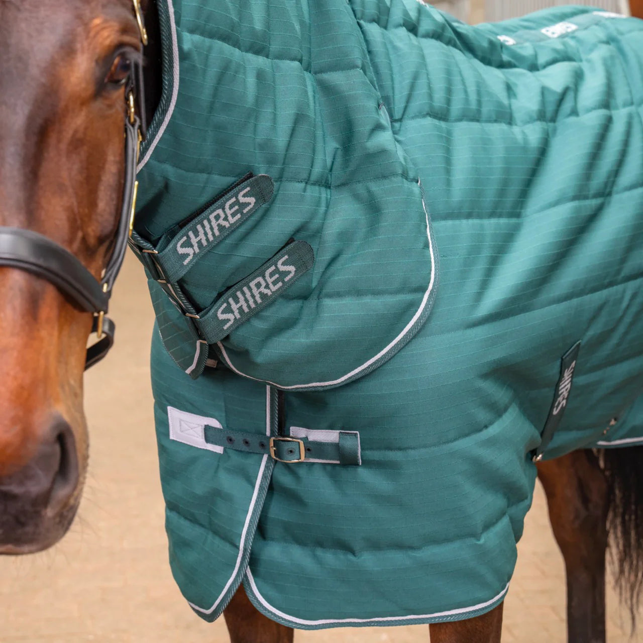 Shires Tempest Original 200G Mediumweight Combo Full Neck Horse Stable Rug,4'-7'3