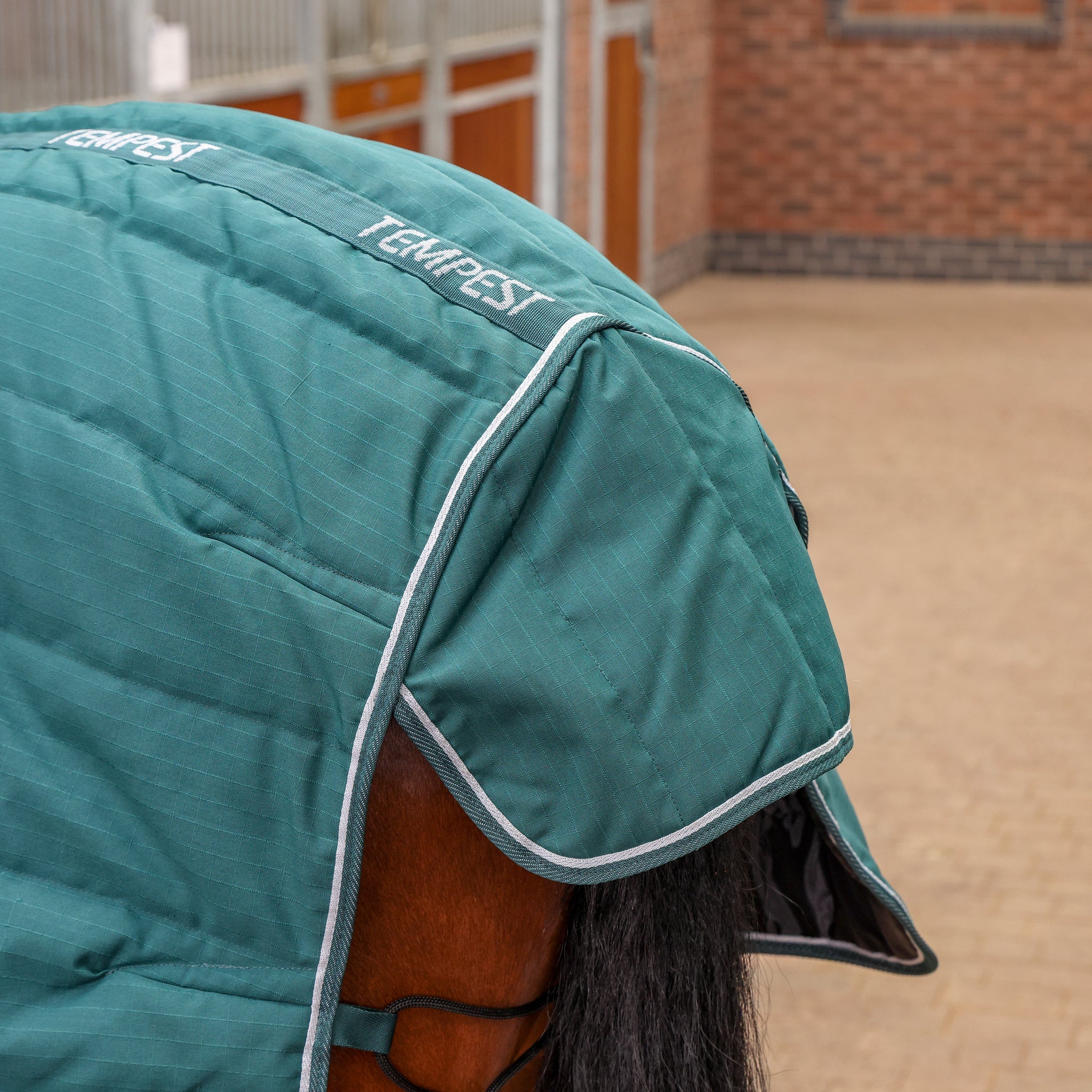 Shires Tempest Original 200G Mediumweight Combo Full Neck Horse Stable Rug,4'-7'3