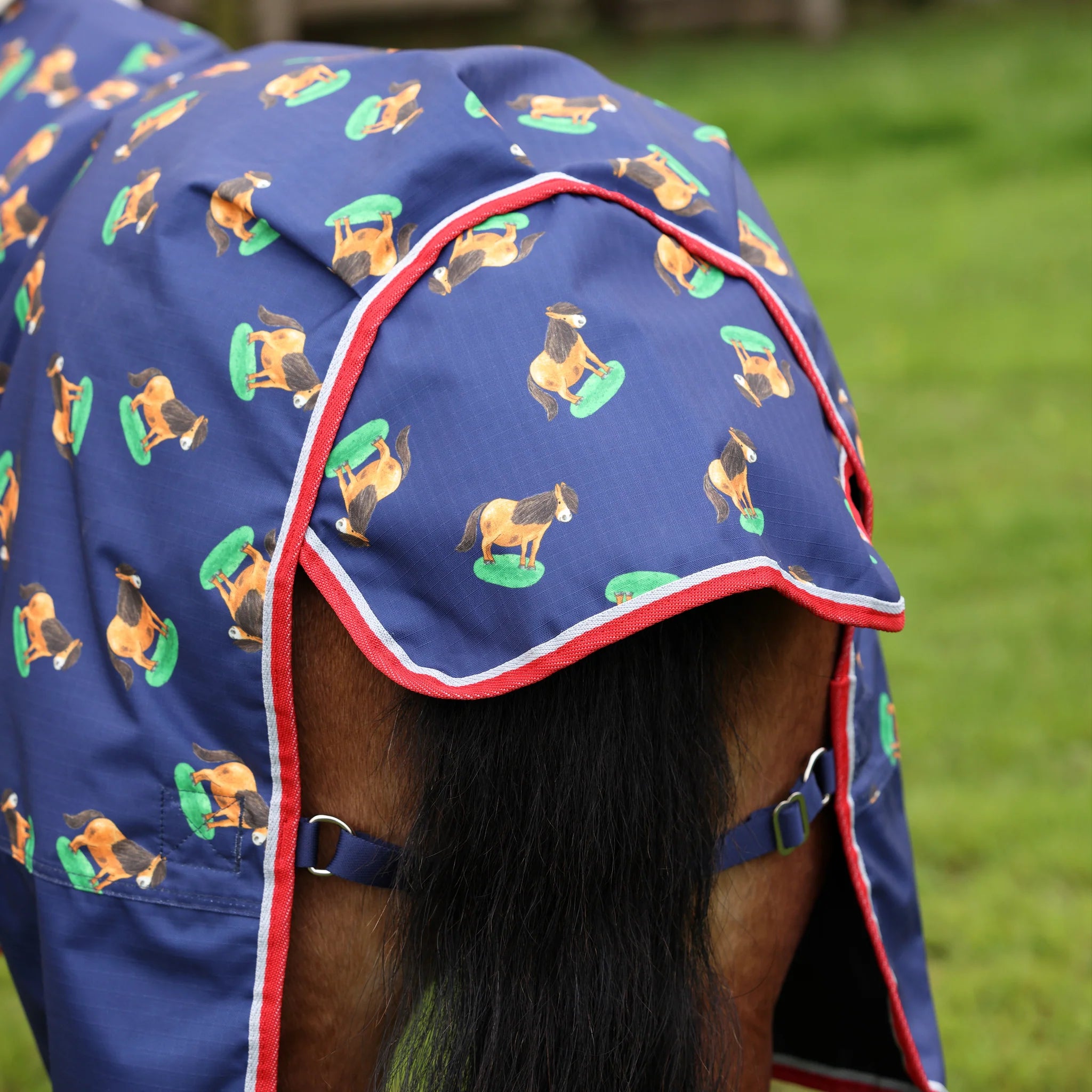Shires Winnie & Me 0g Pony Turnout Rug, Lightweight, 600 Denier, 3'6" - 5'3",