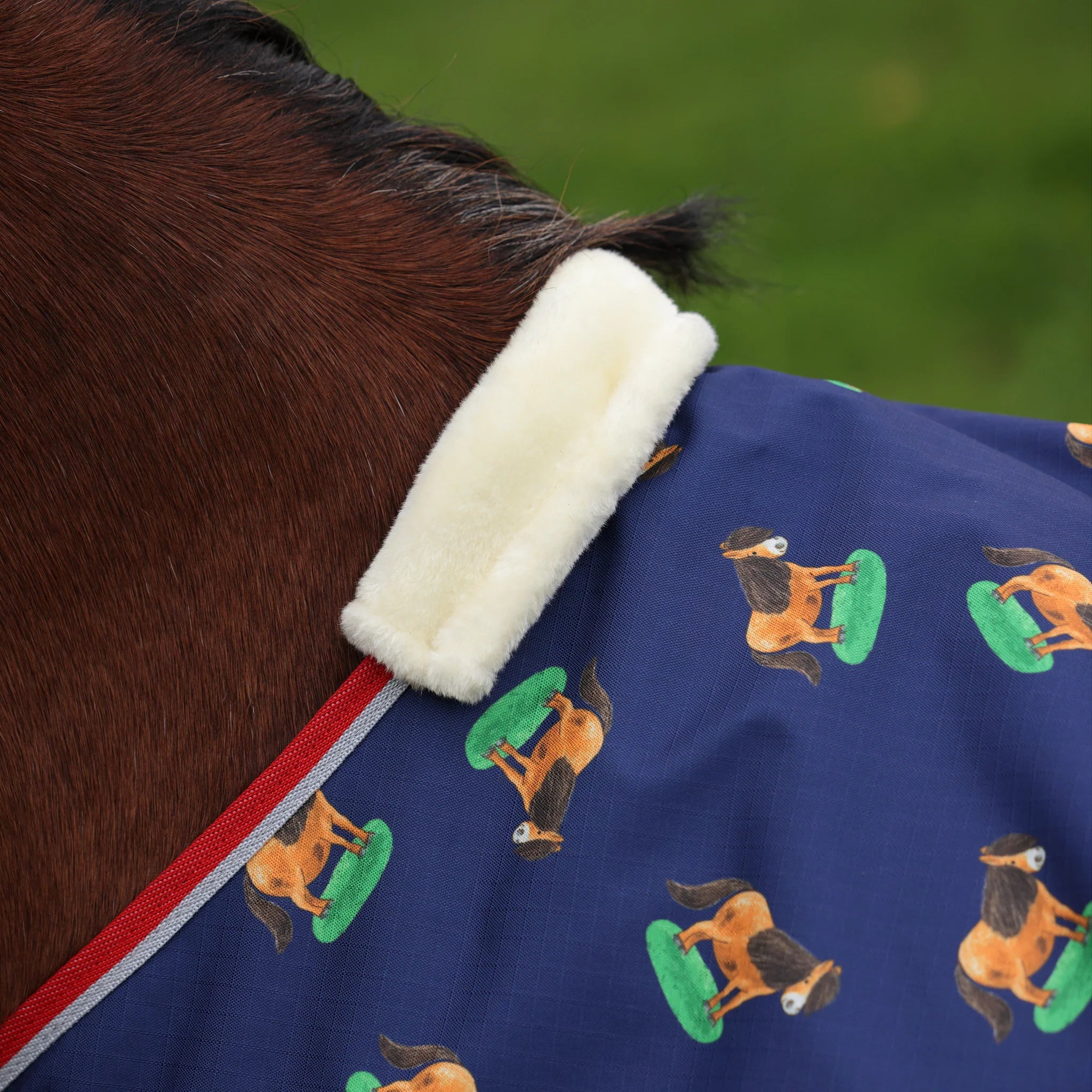 Shires Winnie & Me 0g Pony Turnout Rug, Lightweight, 600 Denier, 3'6" - 5'3",