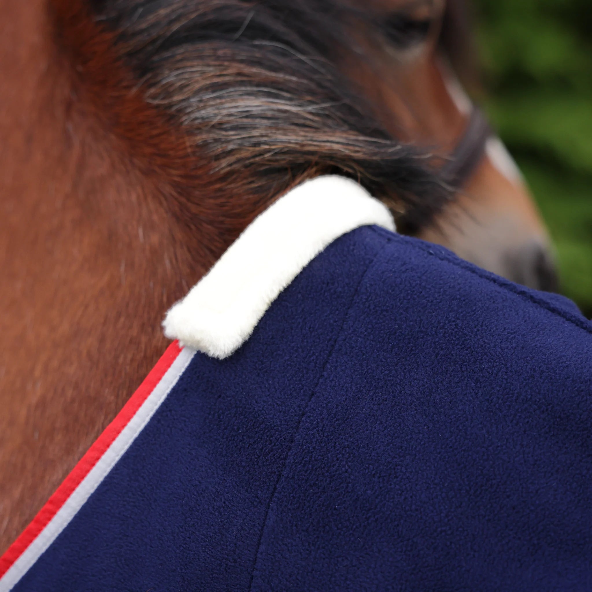 Shires Winnie & Me Fleece Pony Rug, Travel Rug, Cooler, Pony,  3'6" - 5'3", Navy