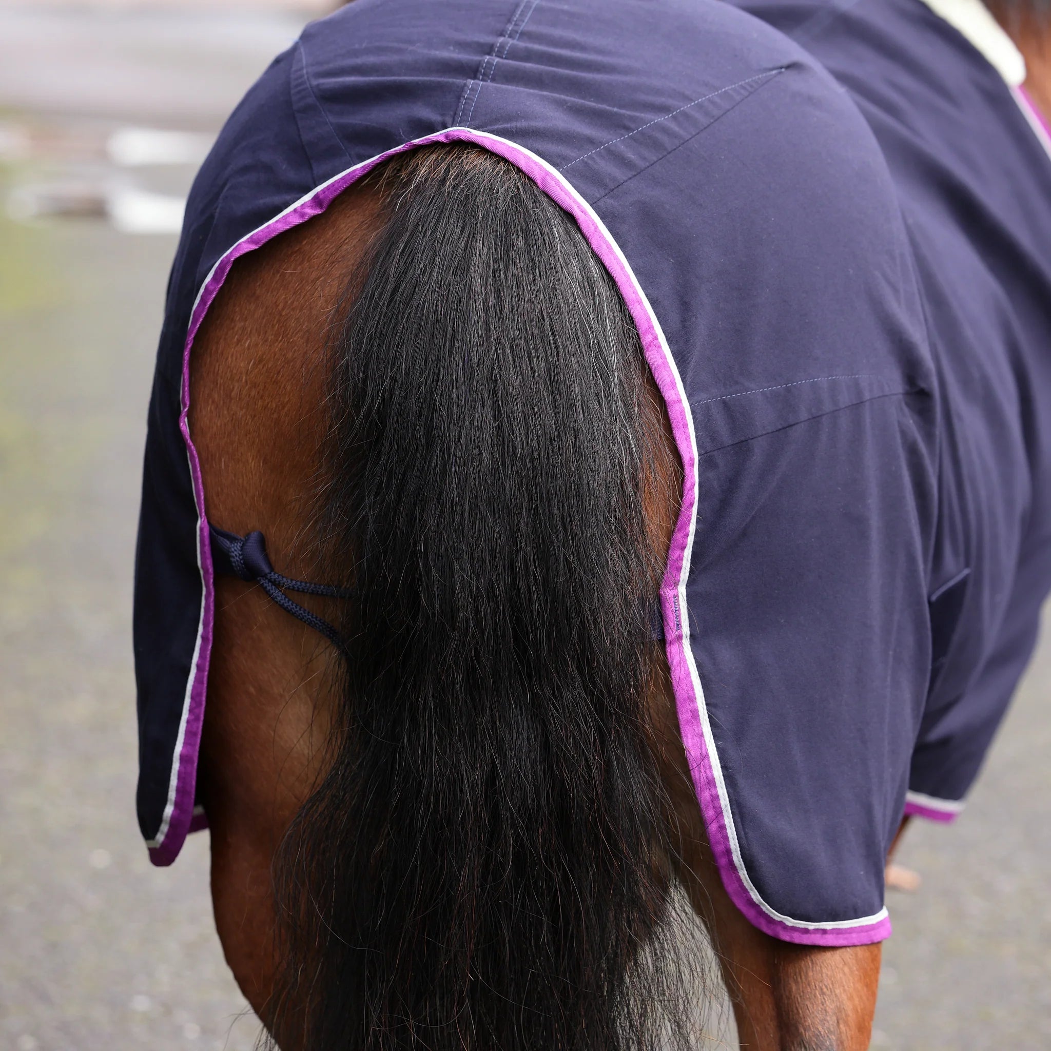 Shires Winnie & Me Stable Sheet, Travel Rug,  Pony,  3'6" - 5'3", Navy