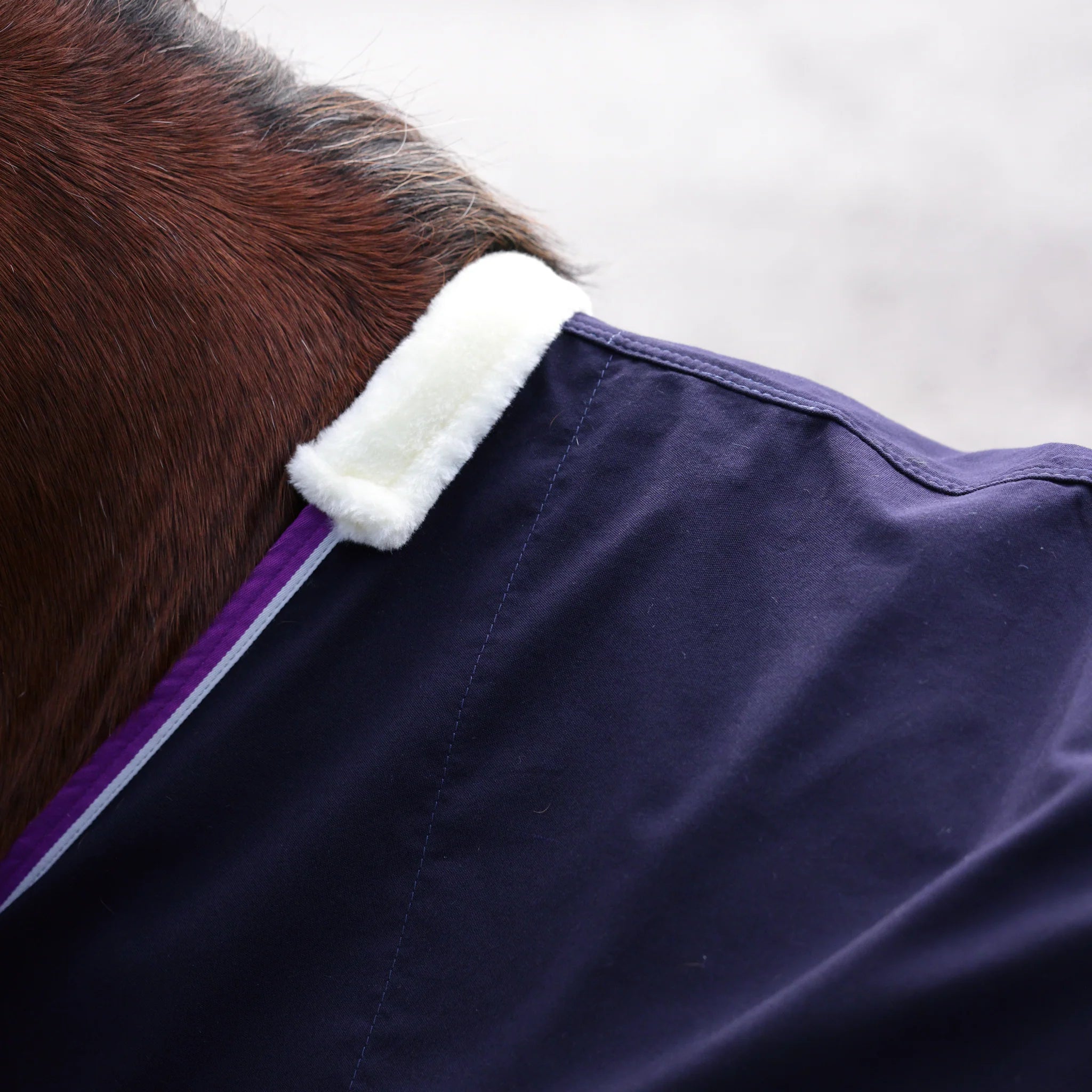 Shires Winnie & Me Stable Sheet, Travel Rug,  Pony,  3'6" - 5'3", Navy
