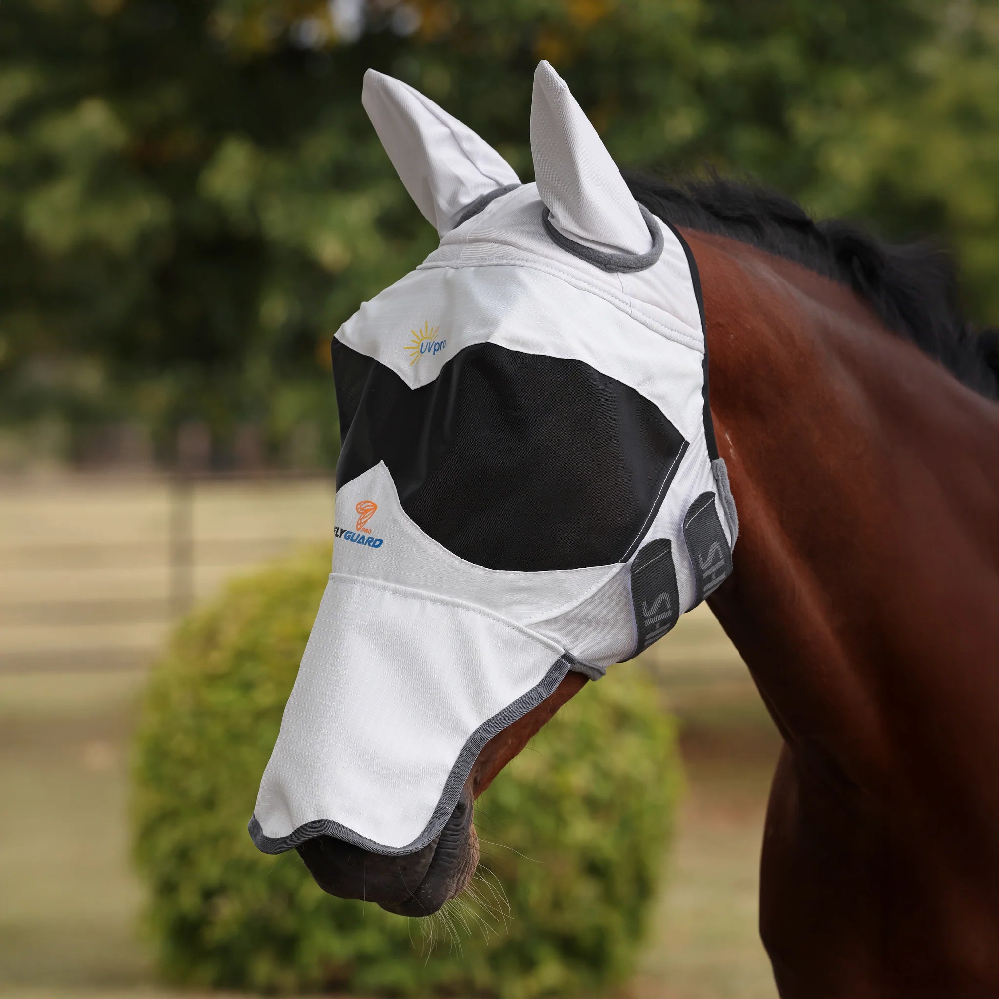 Shires FlyGuard Pro Sun Shade Fly Mask with Ears & Square Nose, UV Protection