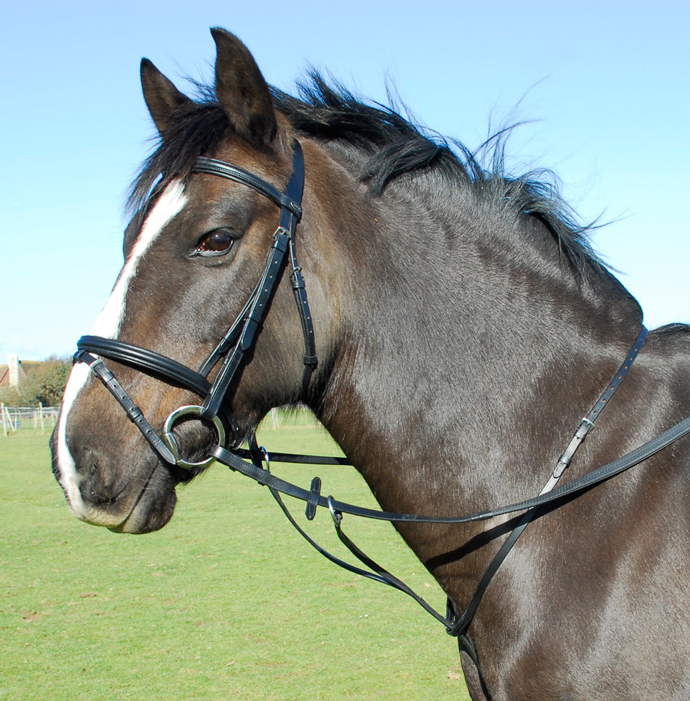 Heritage Quality English Leather Running Martingale