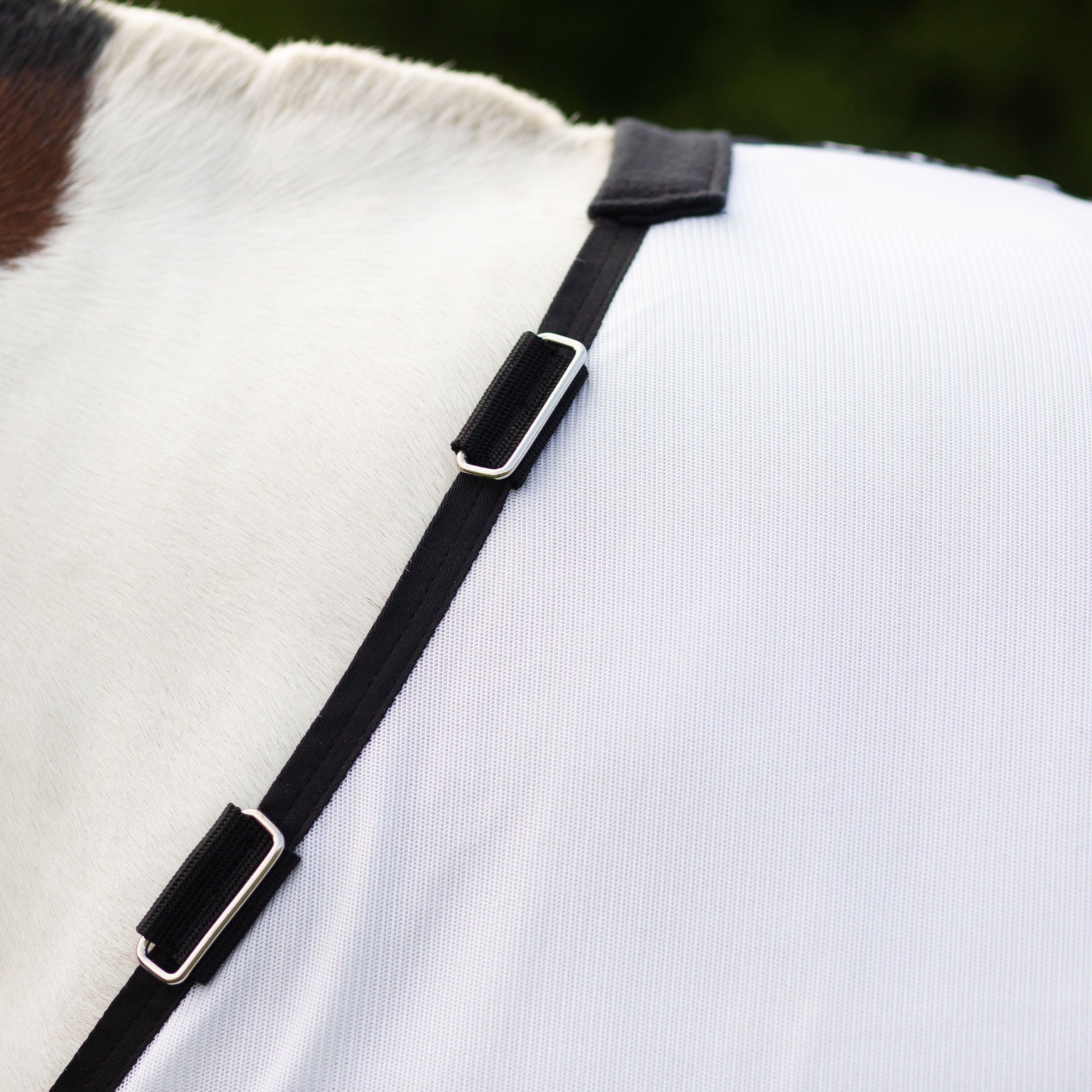 Gallop Fly Mesh Dual Fly Rug and Neck Set, 4'9"-7'0", White,
