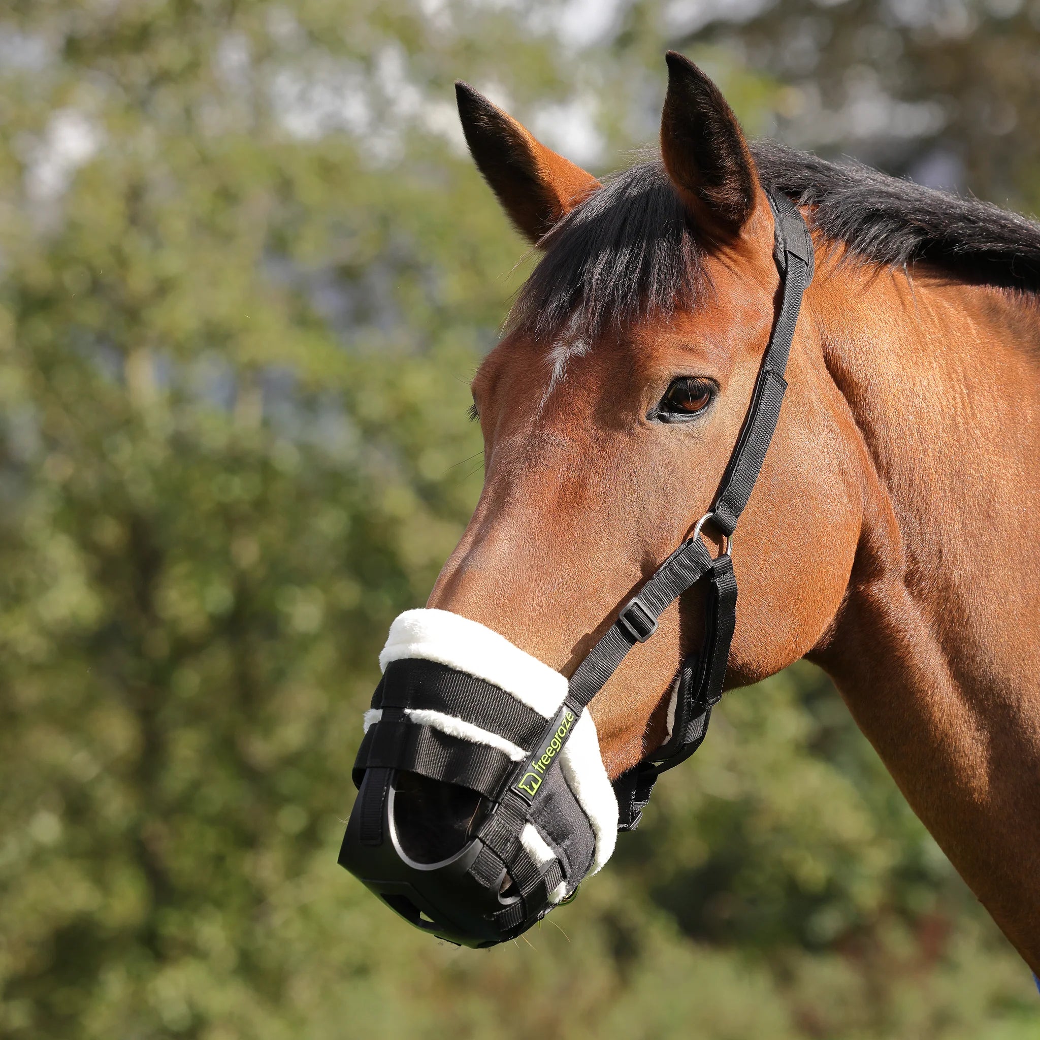 Shires Freegraze Deluxe Nylon Horse / Pony Grass Grazing Muzzle with Comfort features