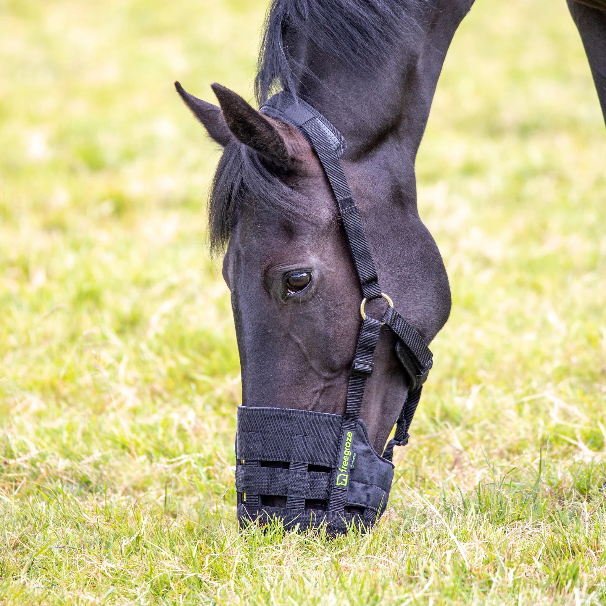 Shires Freegraze Comfort Padded Nylon Horse or Pony Grass Grazing Muzzle