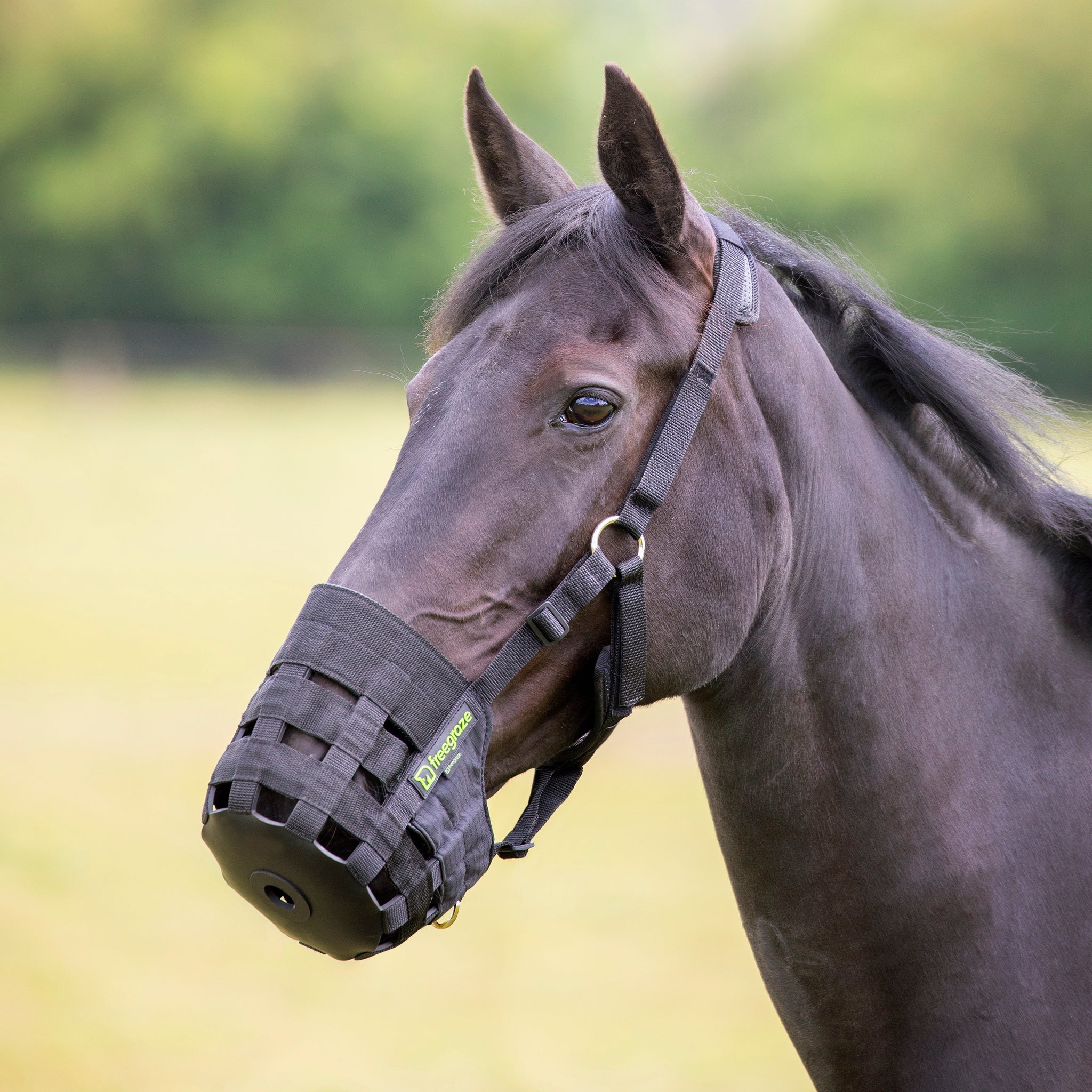 Shires Freegraze Comfort Padded Nylon Horse or Pony Grass Grazing Muzzle