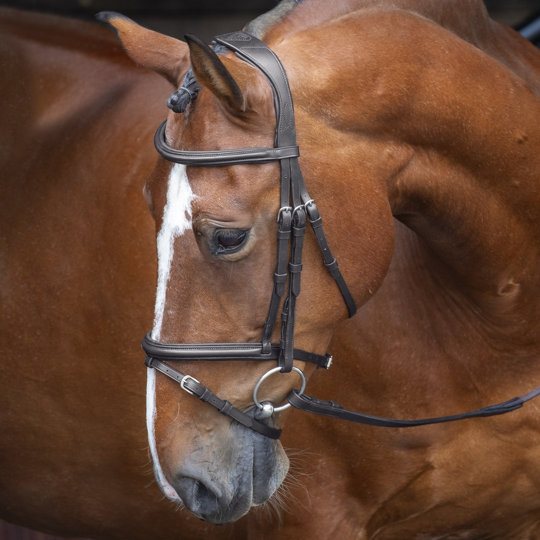 Shires Velociti Rapida Drop Noseband Bridle