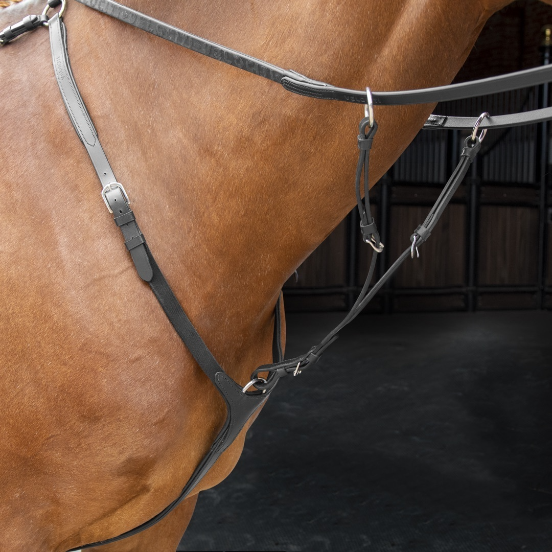 Shires Velociti Rapida Leather Breastplate