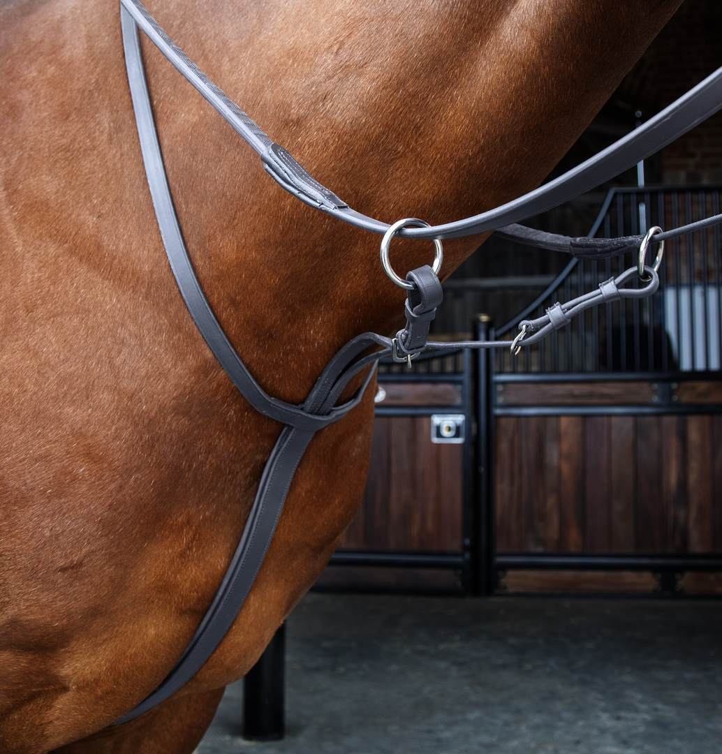 Shires Velociti Rapida Running Martingale
