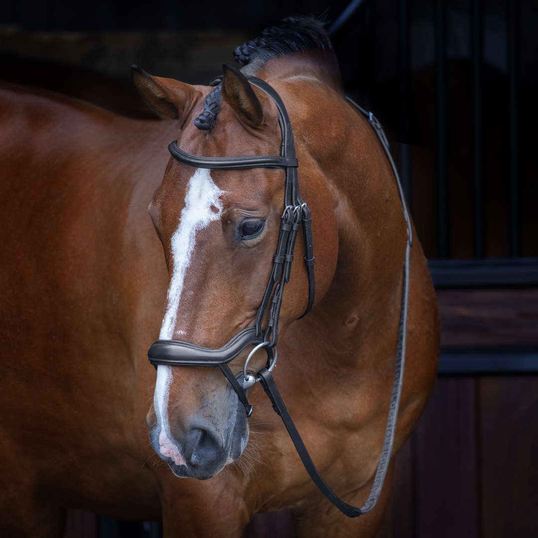 Shires Velociti Rapida Ergonomic Flash Bridle