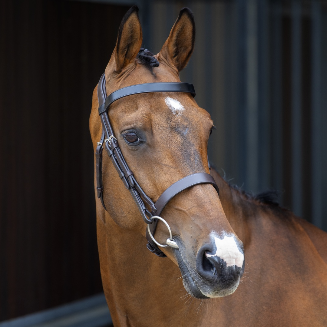 Bridle, Shires Velociti Lusso Hunter Cavesson Bridle, Black, Havana, 4 Sizes