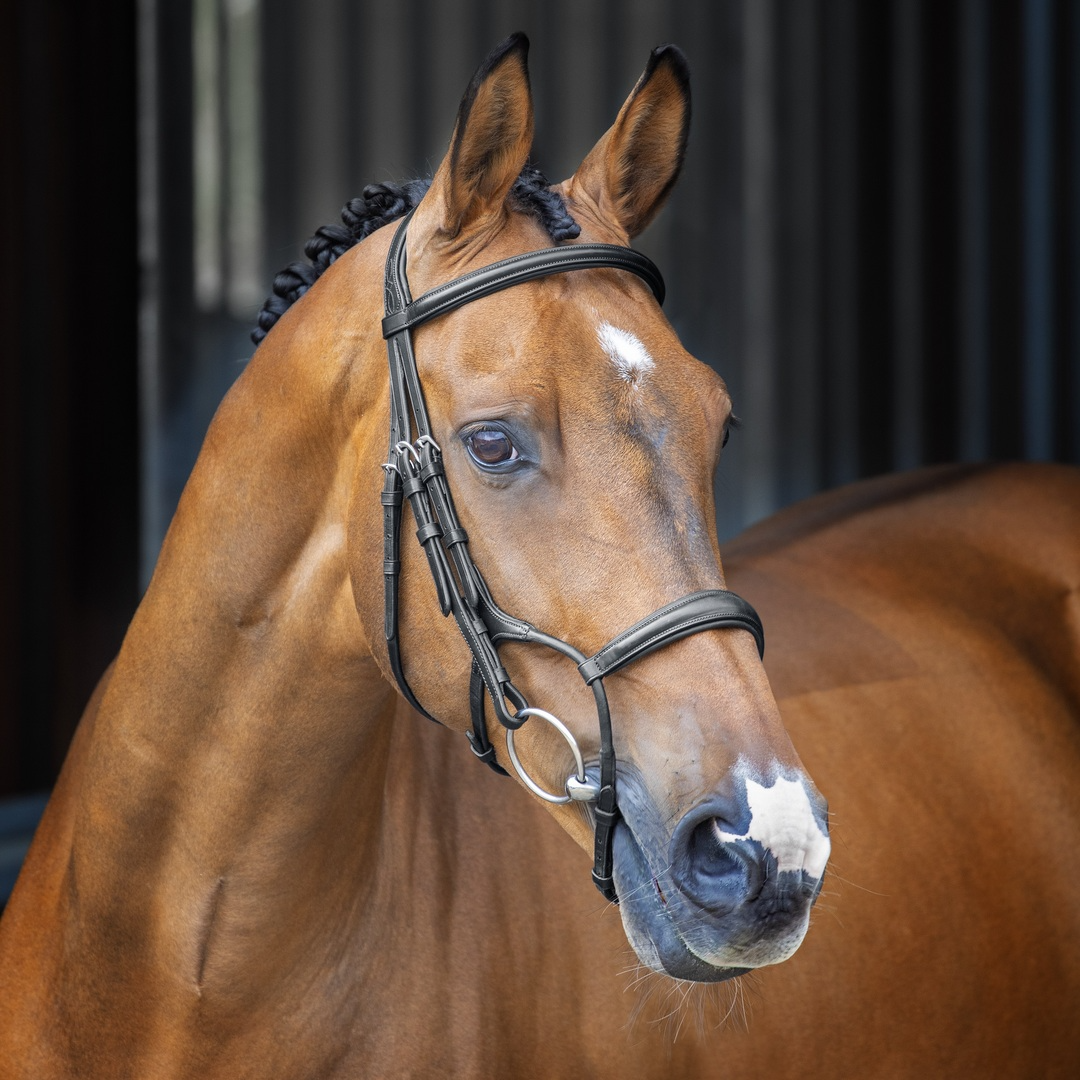 Shires Velociti Lusso Rolled Padded Cavesson Bridle, Black, Havana, 4 Sizes