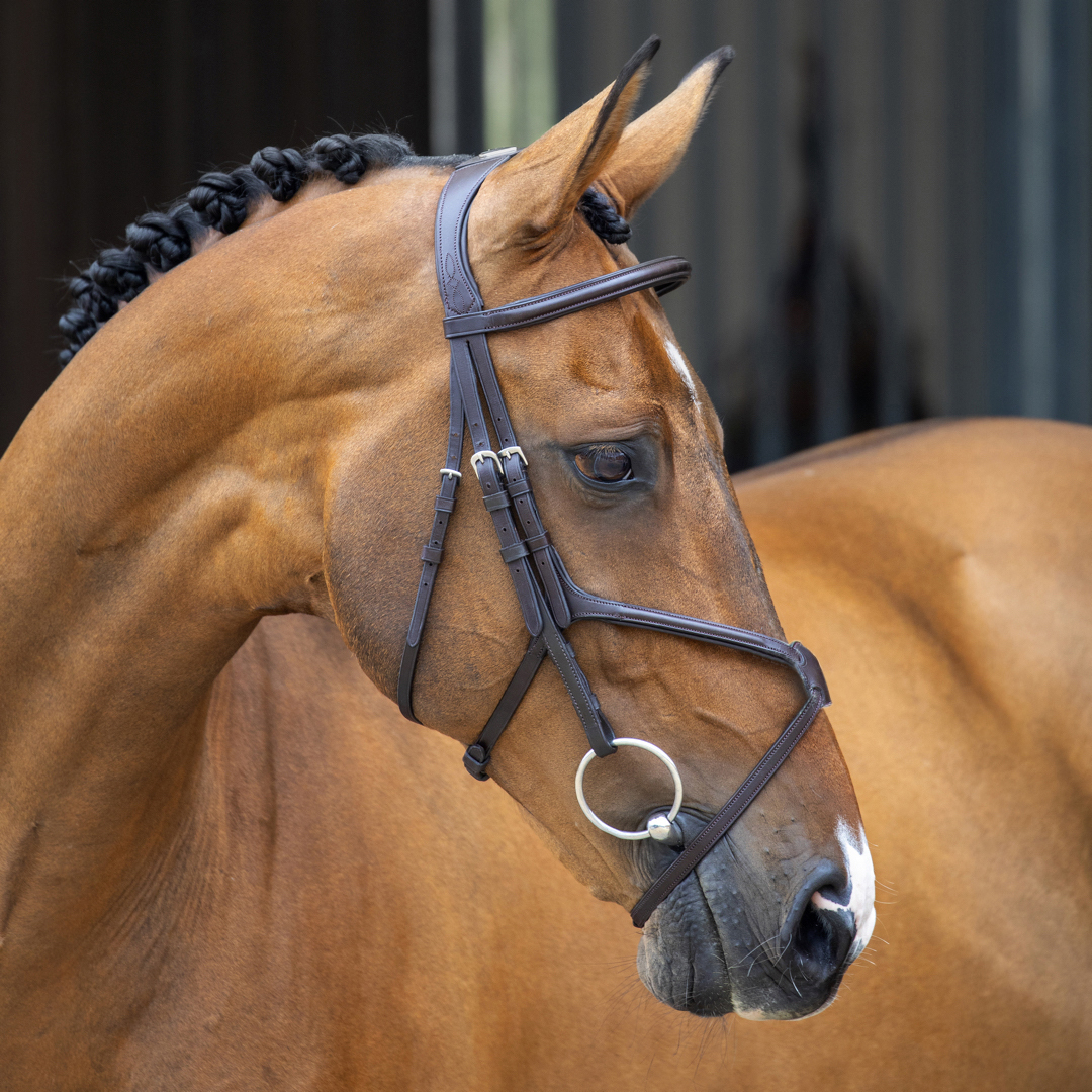 Bridle, Shires Velociti Lusso Grackle Bridle, Black, Havana, 4 Sizes