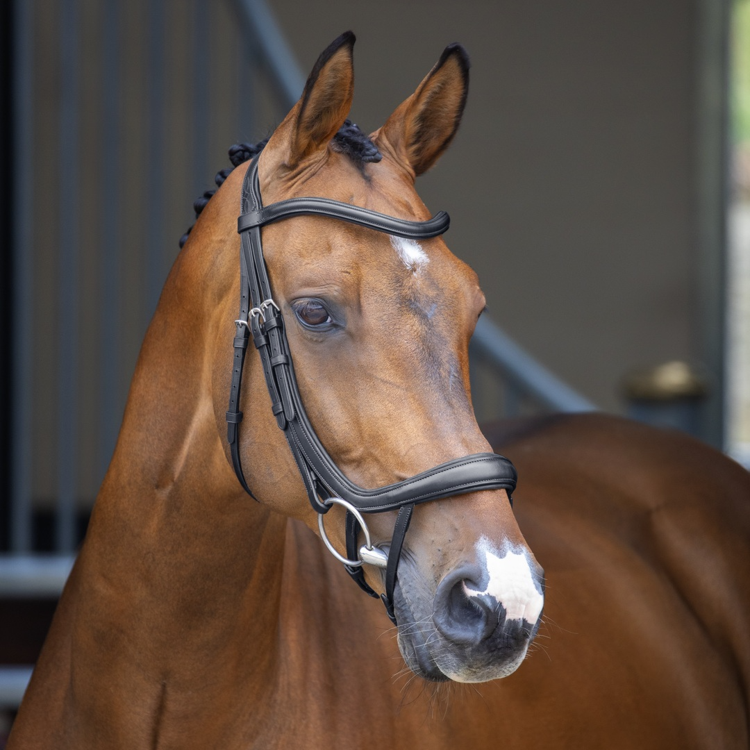 Shires Velociti Lusso Ergonomic Curved Flash Bridle, Black, Havana, 4 Sizes