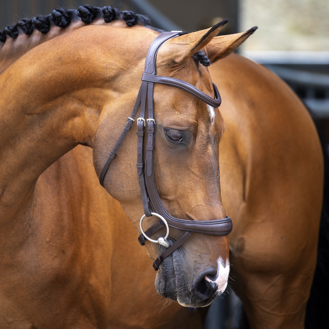 Shires Velociti Lusso Ergonomic Curved Flash Bridle, Black, Havana, 4 Sizes