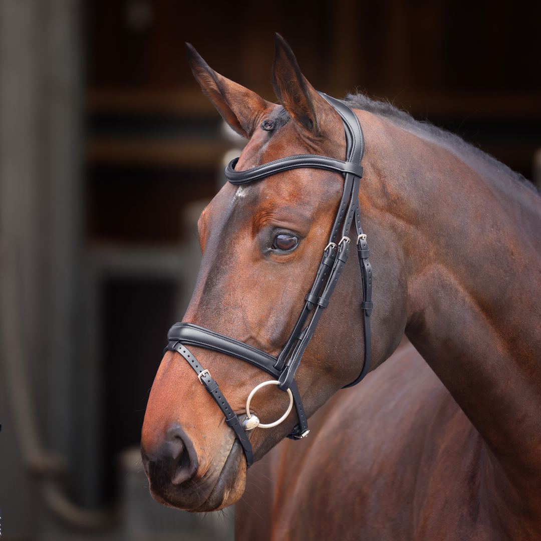 Bridle, Shires Velociti Lusso Padded Rasied Flash Bridle, Black, Havana, 4 Sizes