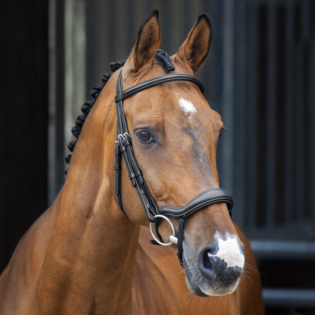 Bridle, Shires Velociti Lusso Ergonomic Flash Bridle, Black, Havana, 4 Sizes