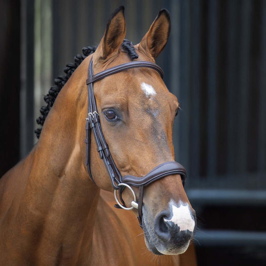 Bridle, Shires Velociti Lusso Ergonomic Flash Bridle, Black, Havana, 4 Sizes