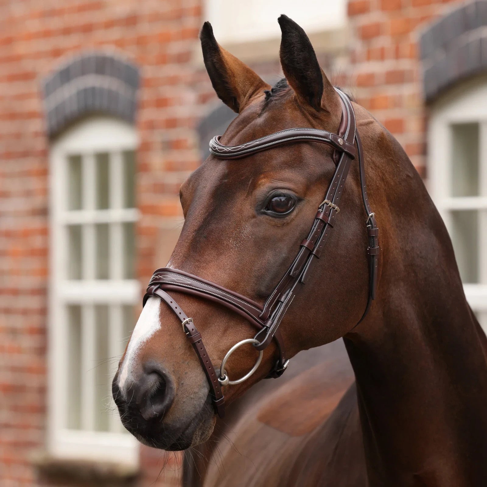 Picture of Shires Velociti LUSSO Opus 180M Padded Flash Bridle, Black / Havana, 4 Sizes