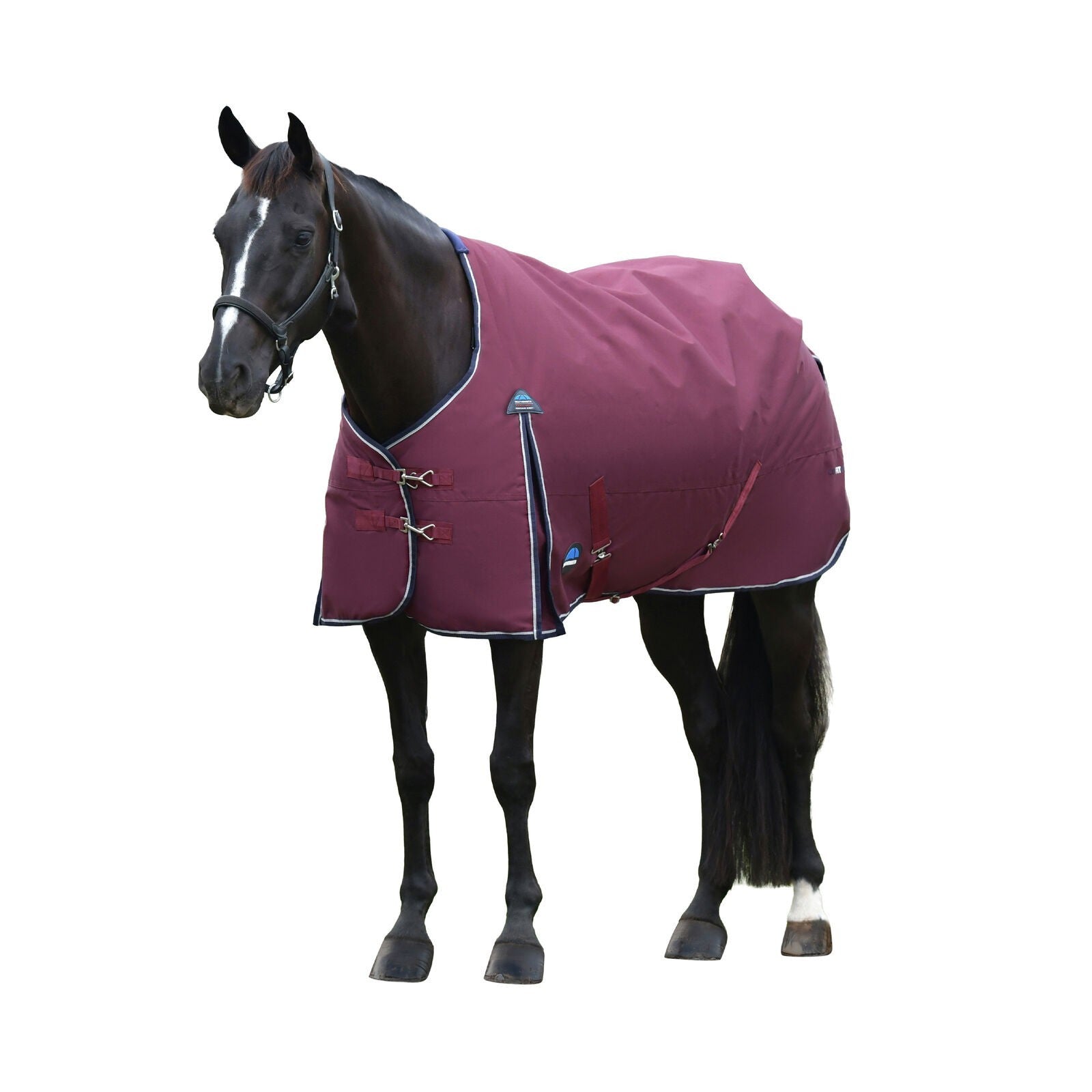 Picture of WEATHERBEETA COMFITEC ESSENTIAL 50G HORSE TURNOUT RUG, STANDARD NECK , 1200D