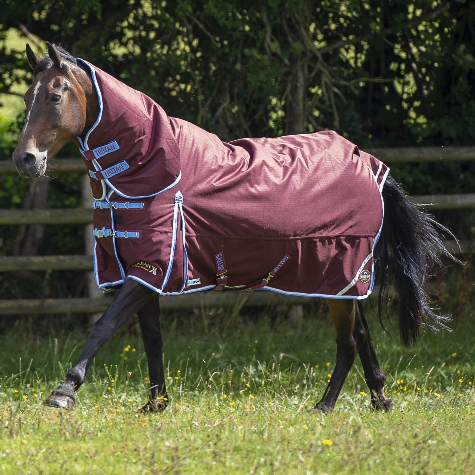 Picture of Gallop TROJAN Xtra Duraproof 350g Horse Turnout Rug, Full Neck Combo 1200 Denier