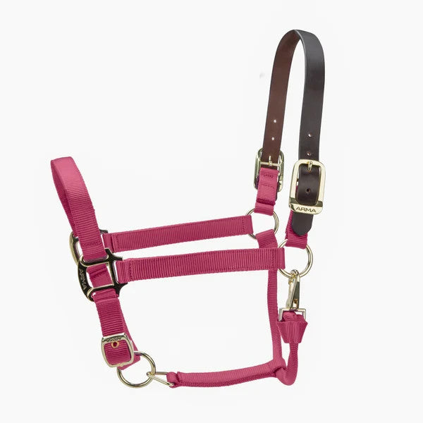 Picture of Shires ARMA Premium Adjustable FieldSafe Headcollar, 10 Colours, 4 Sizes
