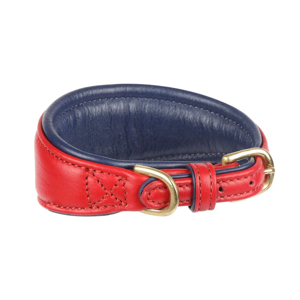 Picture of Shires Digby & Fox Padded Greyhound Leather Dog Collar, 4 Sizes, 6 Colours