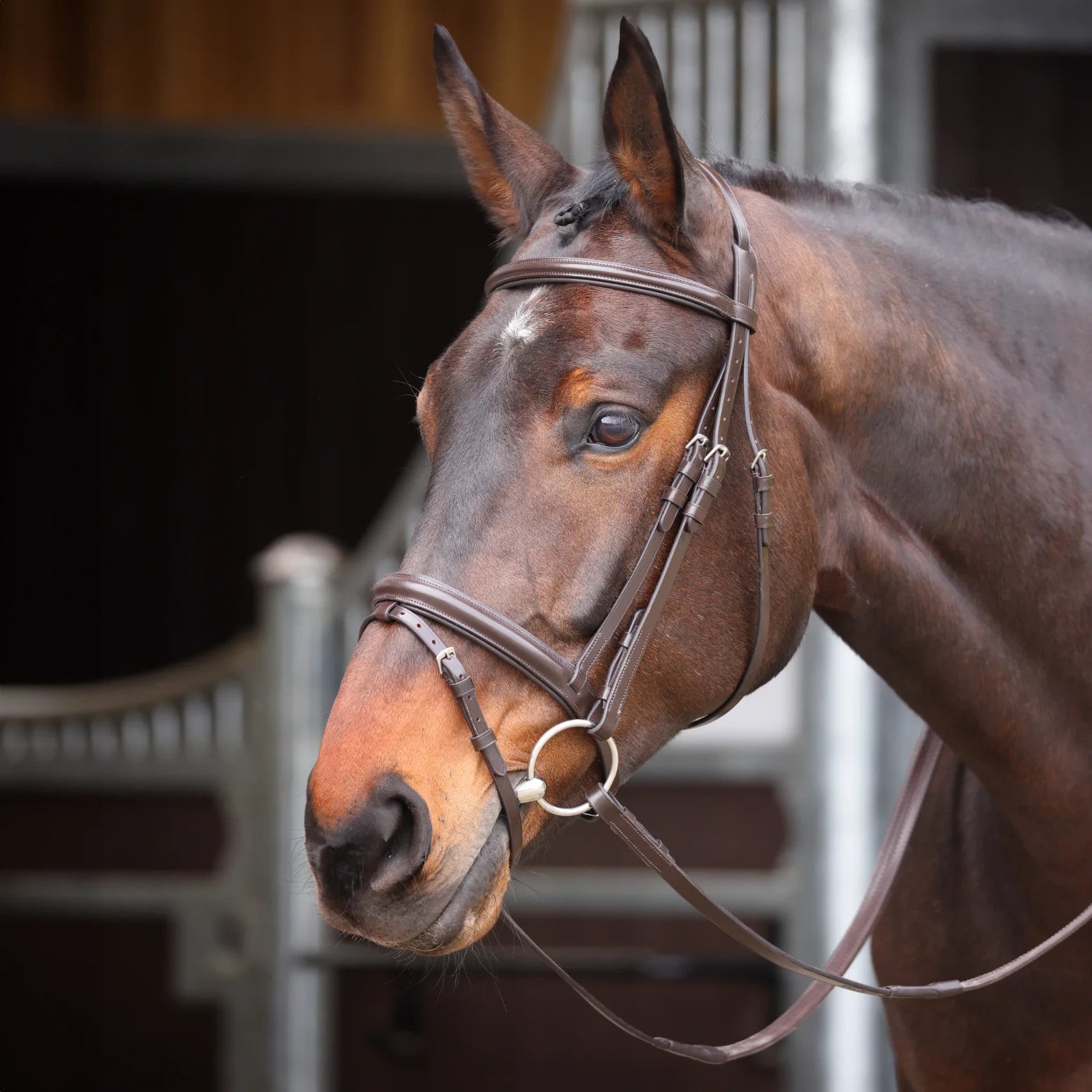 Picture of Shires Velociti GARA Comfort Fit Bridle, 2 Colours, 4 Sizes