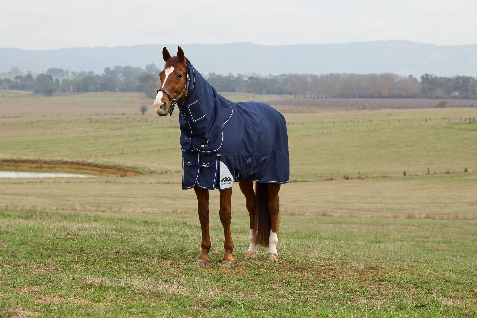 Picture of WEATHERBEETA COMFITEC ULTRA 100G TURNOUT RUG, DETACH-A-NECK, LIGHTWEIGHT