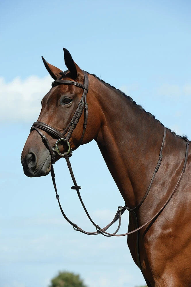 Picture of Collegiate Syntovia+ Plain Flat Running Martingale, Black or Brown, 4 Sizes.