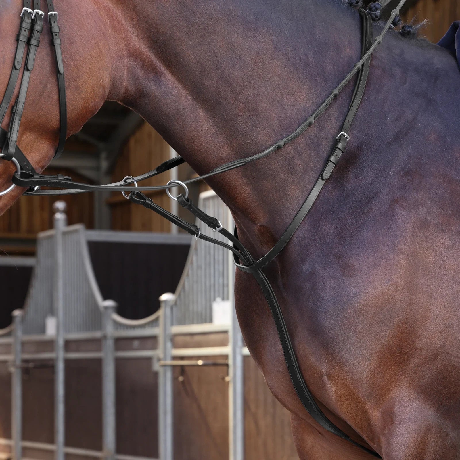Picture of ShiresVelociti LUSSO Elite Running Martingale, Black / Havana, 4 Sizes