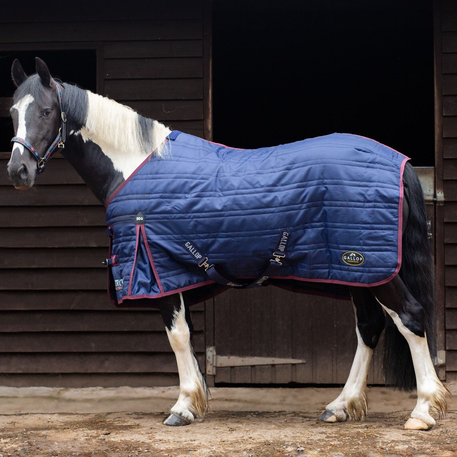 Picture of 50G Stable Horse Rug, Gallop TROJAN 50g Stable Horse/Pony Rug
