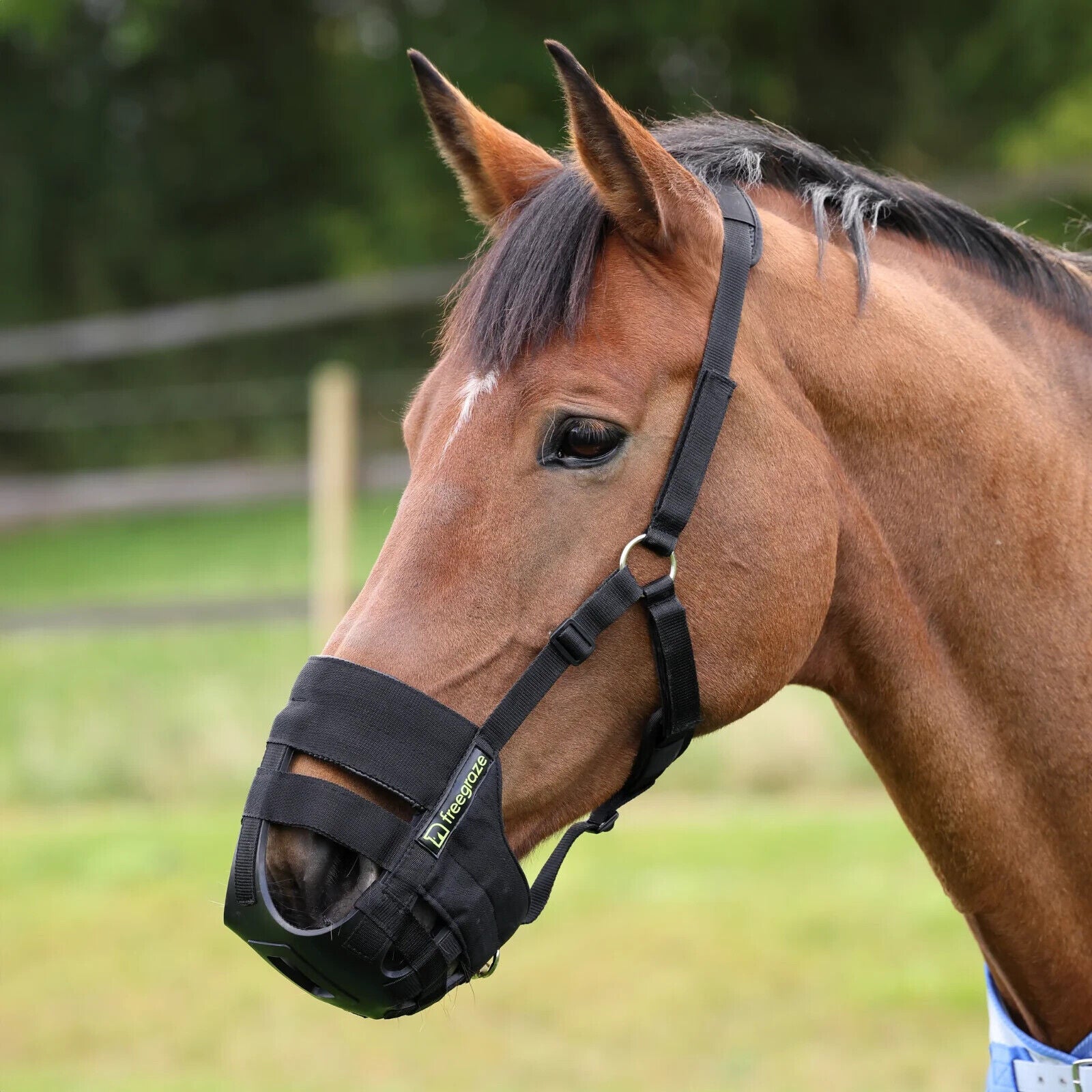 Picture of Shires Freegraze Airflow Grazing Grass Muzzle,  Horse Pony, Black, 5 Sizes
