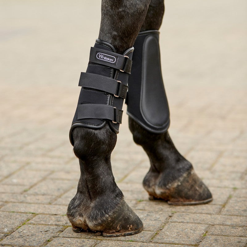 Picture of Whitaker Bradford Brushing Boots, Black , 3 Sizes