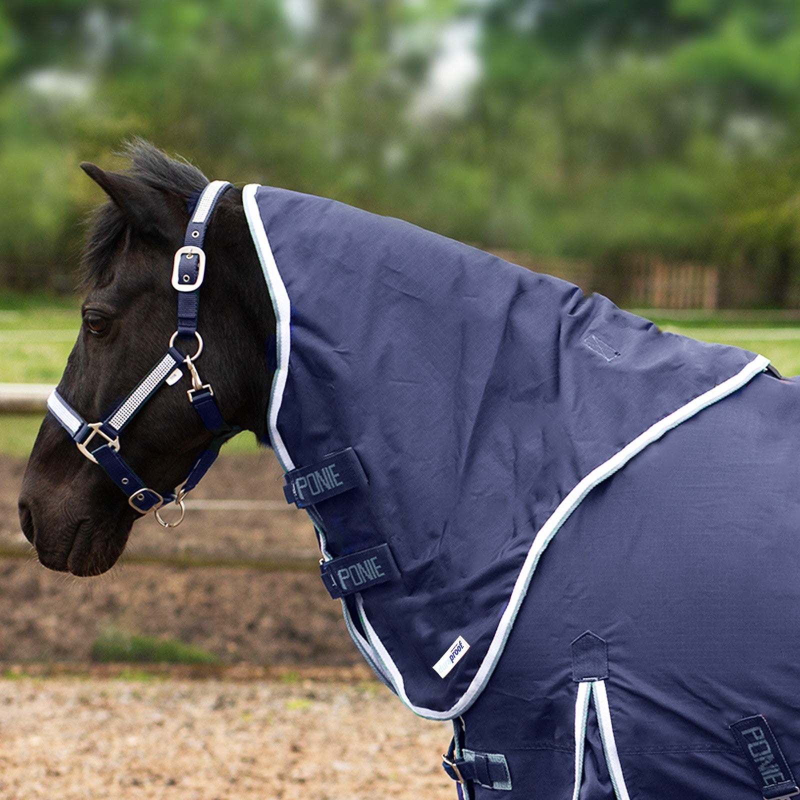 Picture of Gallop PONIE Duraproof Rug 150g Neck Cover, Outdoor.