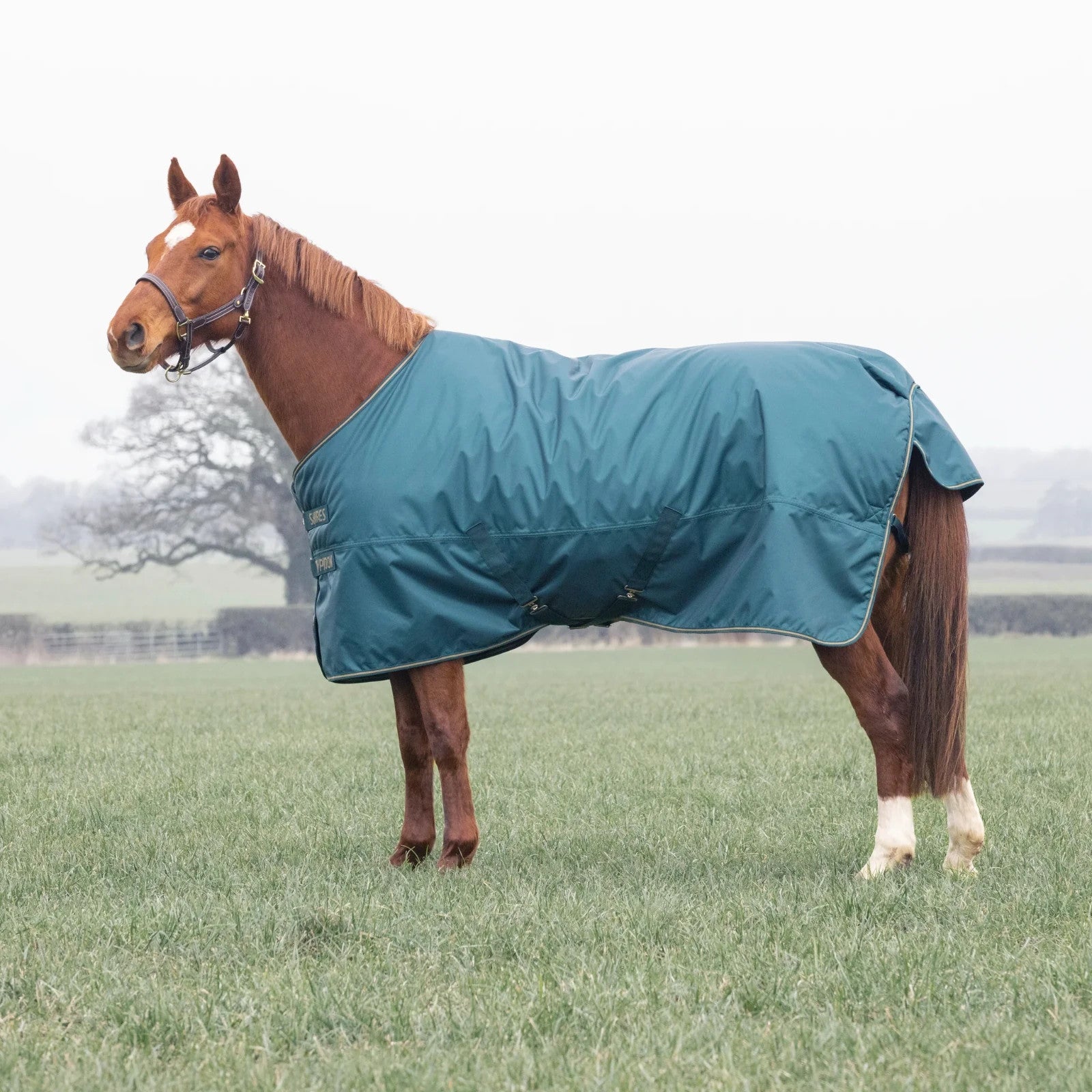 Picture of Shires Typhoon 200G Std Neck Mediumweight Horse/Pony Turnout Rug,