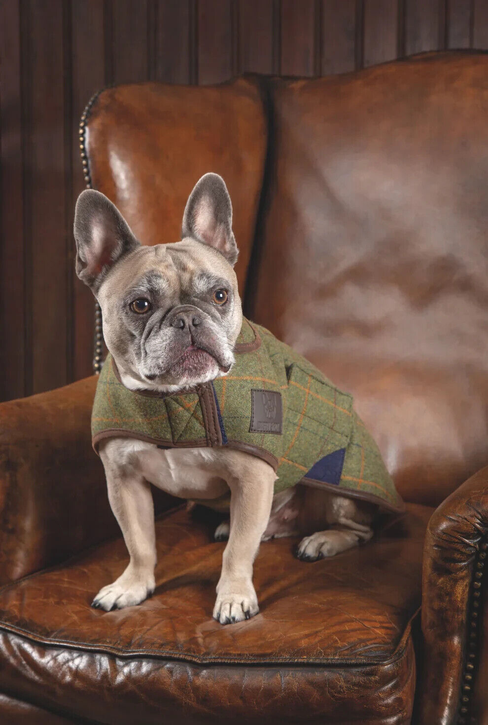 Picture of Digby & Fox Tweed  Dog Coat,  9 Sizes, 2 Colours