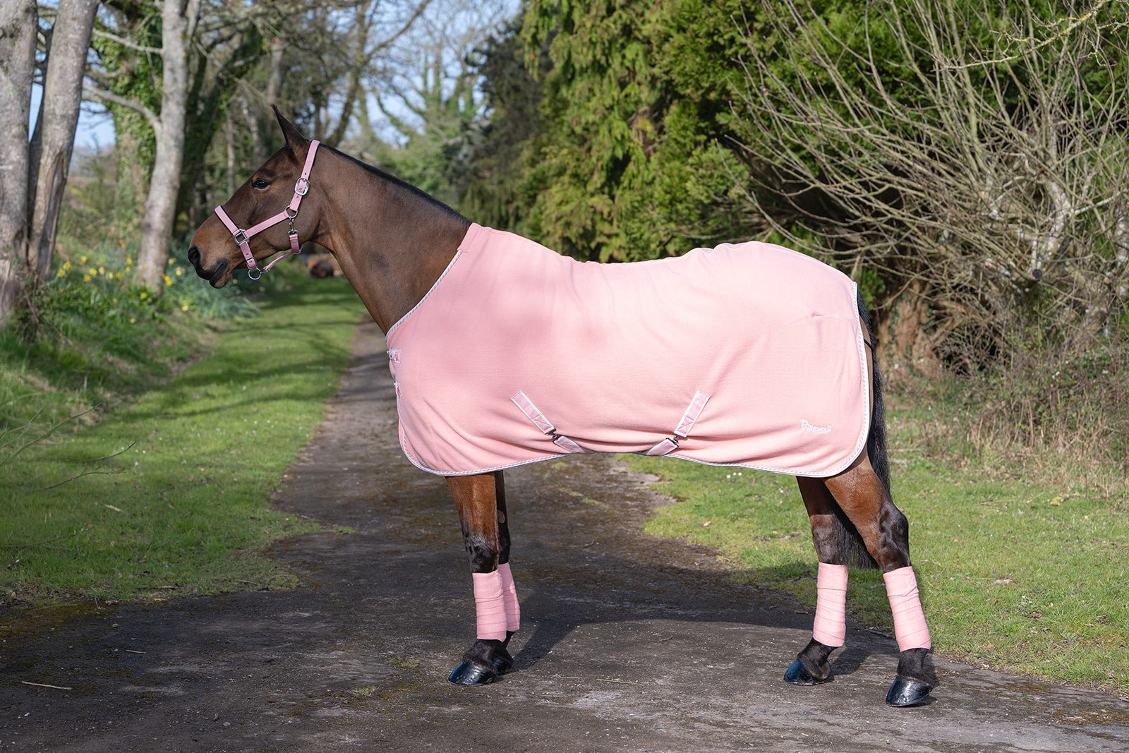 Picture of Rhinegold Sorbet Fleece/Travel Rugs, 3 Colours, 4'6"-7'3"