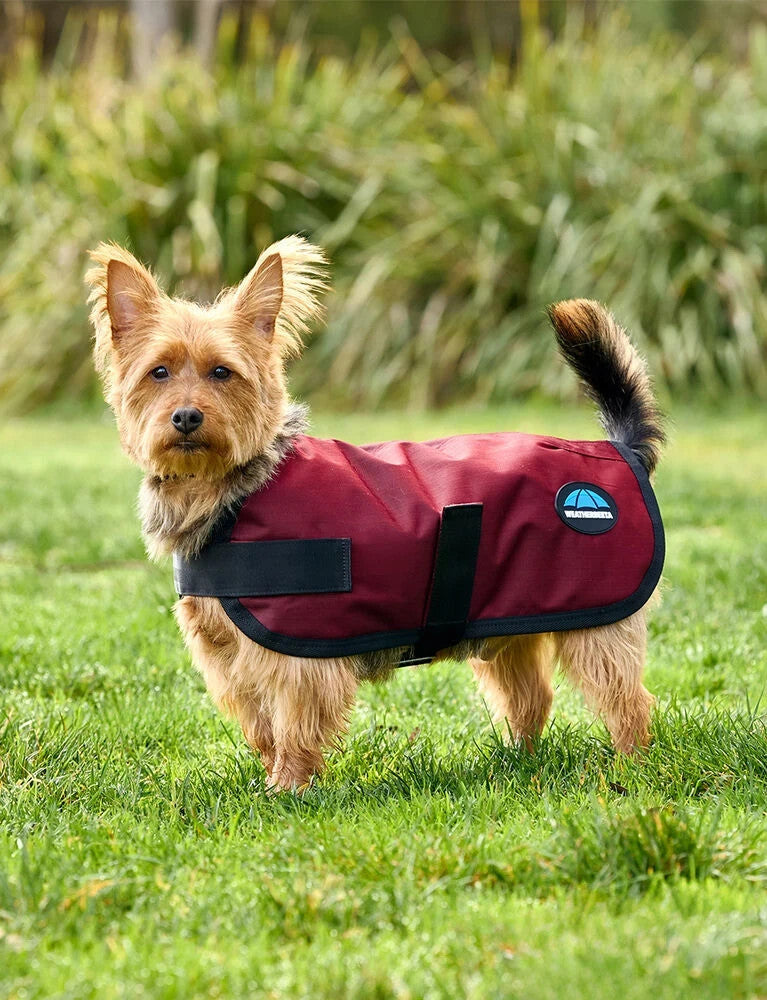 Picture of Weatherbeeta Comfitec Classic Waterproof Dog Coat, 3 Colours, 11 Sizes.