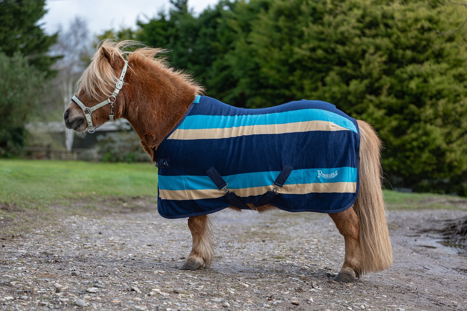 Picture of Rhinegold Mini Striped Fleece Rug, Std Neck, 3'6"-4'3"