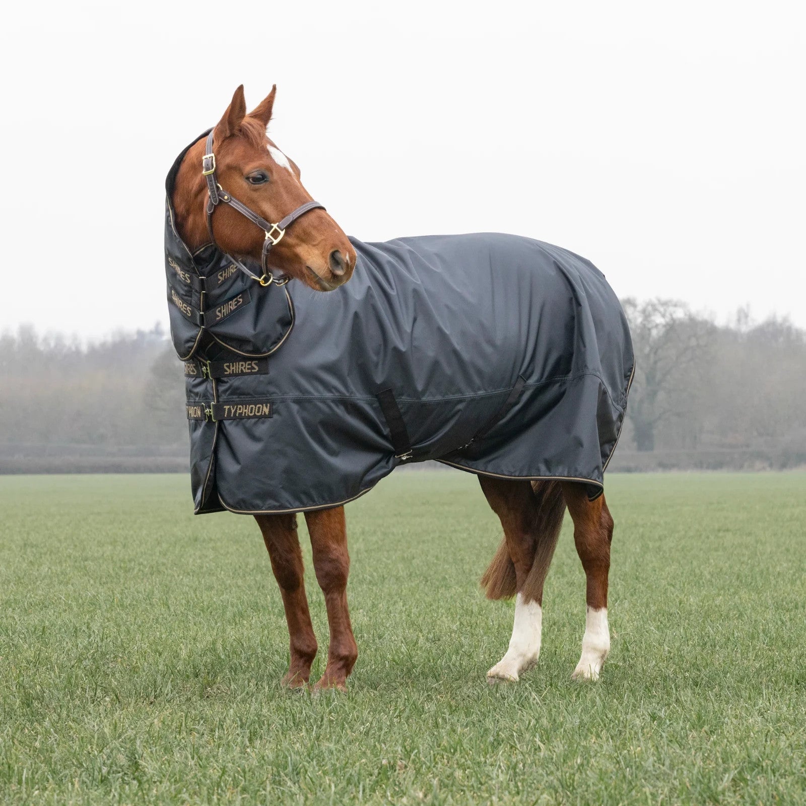 Picture of Shires Typhoon 50G Full Neck Combo Lightweight Horse/Pony Turnout Rug, Black