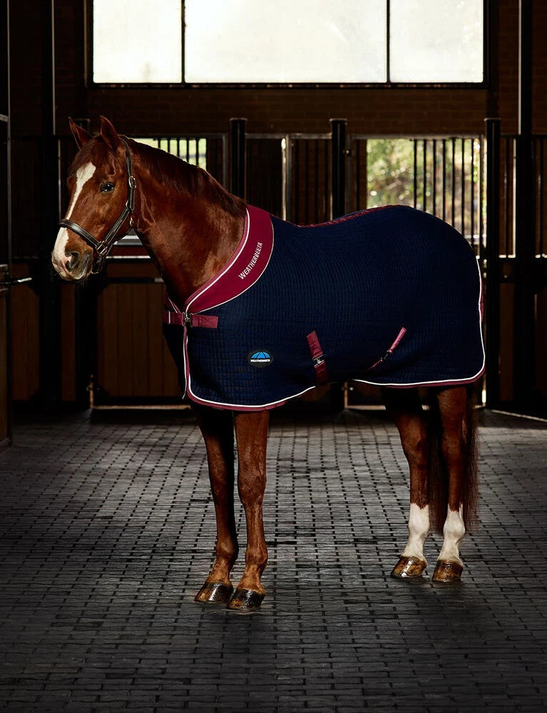 Picture of Weatherbeeta Thermocell Cooler Horse Rug, Standard Neck