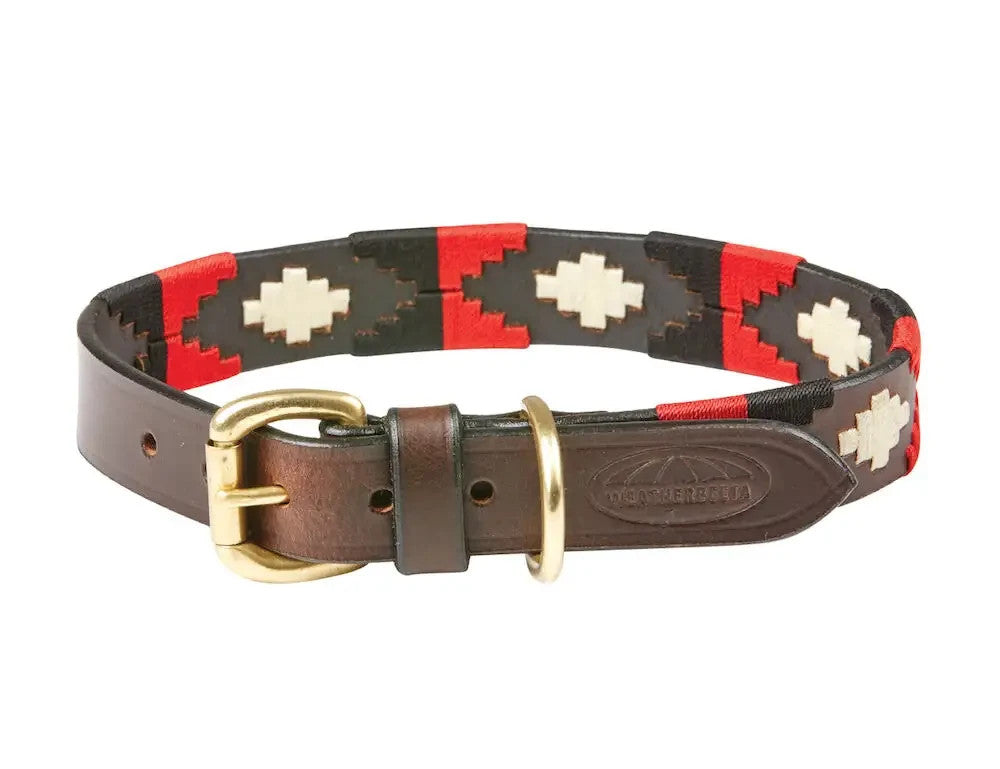 Picture of Weatherbeeta Polo Leather Dog Collar, 5 Colours, 6 Sizes