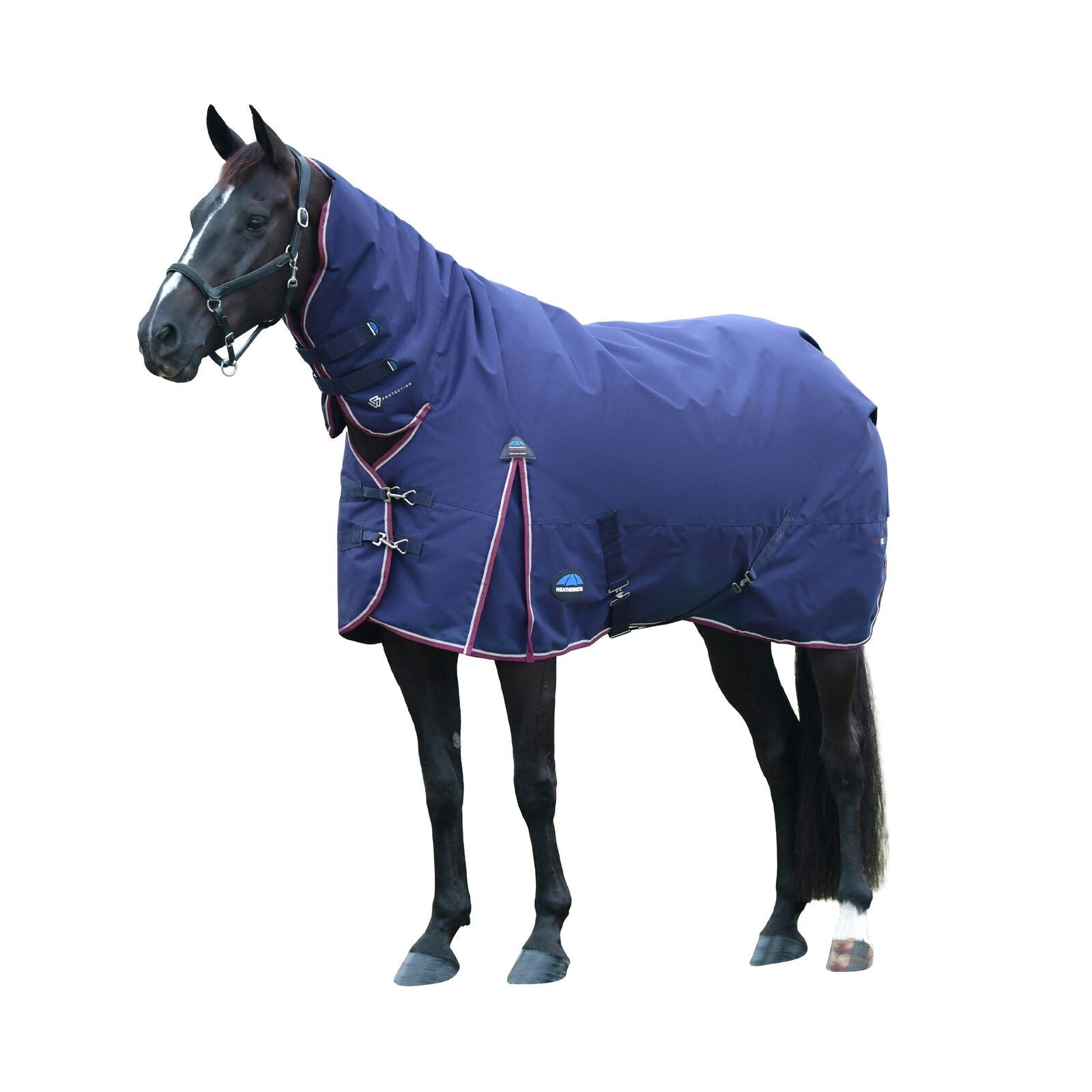 Picture of WEATHERBEETA COMFITEC ESSENTIAL 50G HORSE TURNOUT RUG, FULL NECK COMBO, 1200D