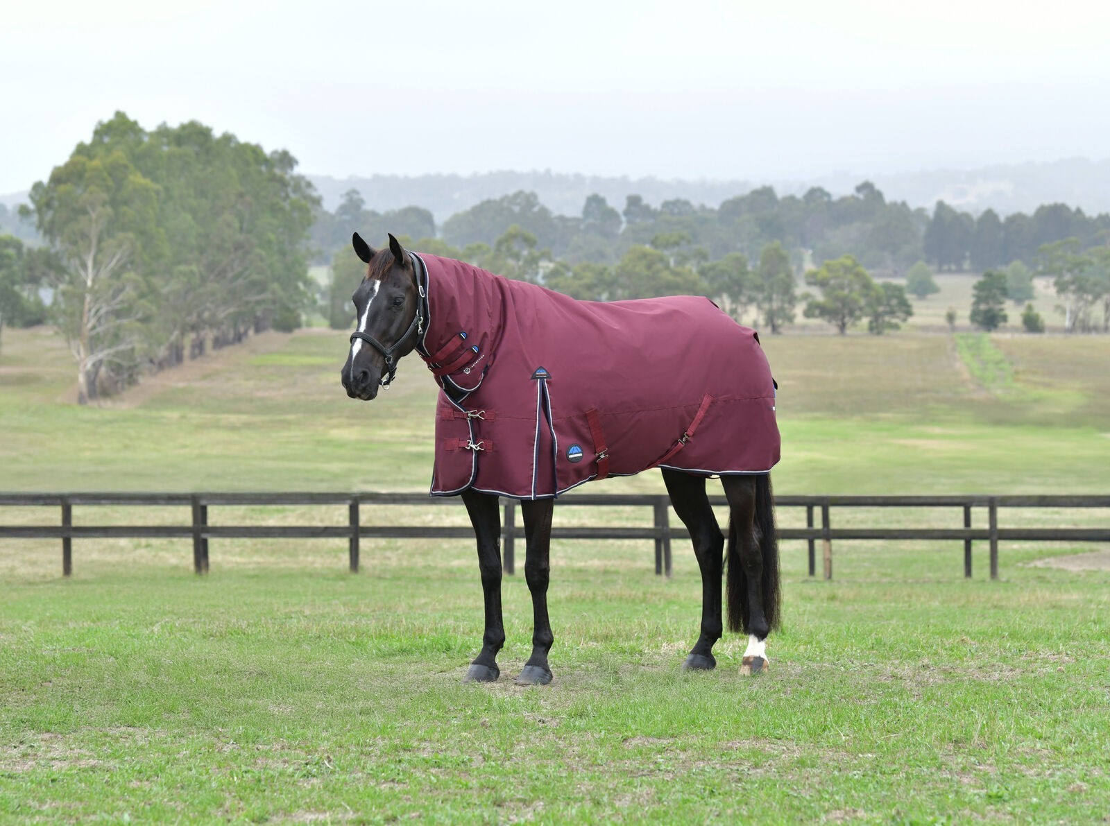 Picture of WEATHERBEETA COMFITEC ESSENTIAL 50G HORSE TURNOUT RUG, FULL NECK COMBO, 1200D