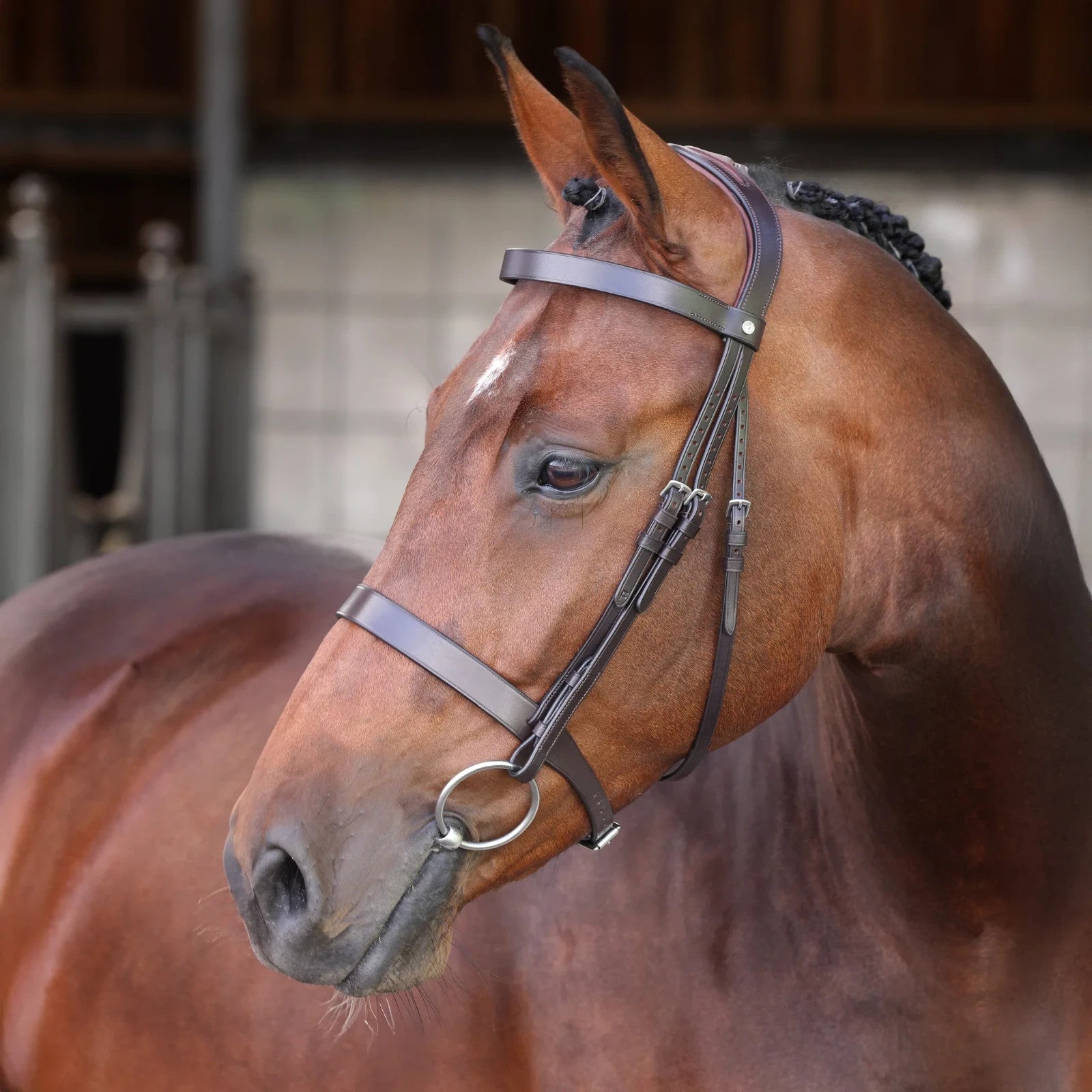 Picture of Shires Velociti LUSSO Elite Hunter Bridle, Black / Havana, 4 Sizes